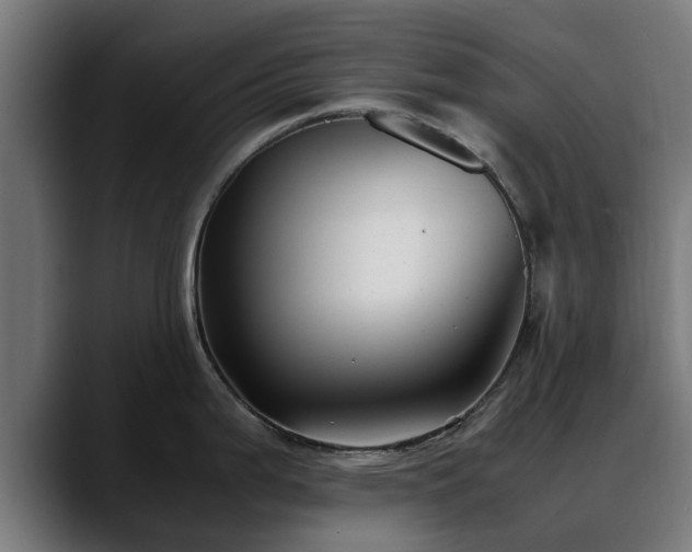 X0000088461199200705291525