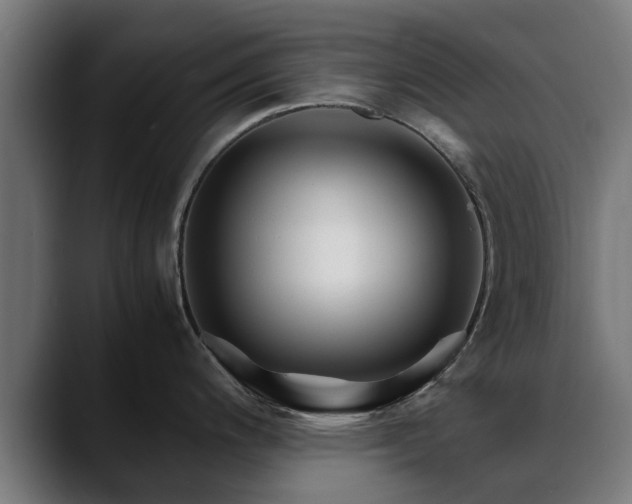 X0000088461200200705291525