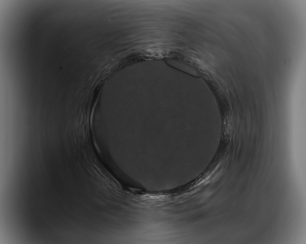 X0000088461202200705291524