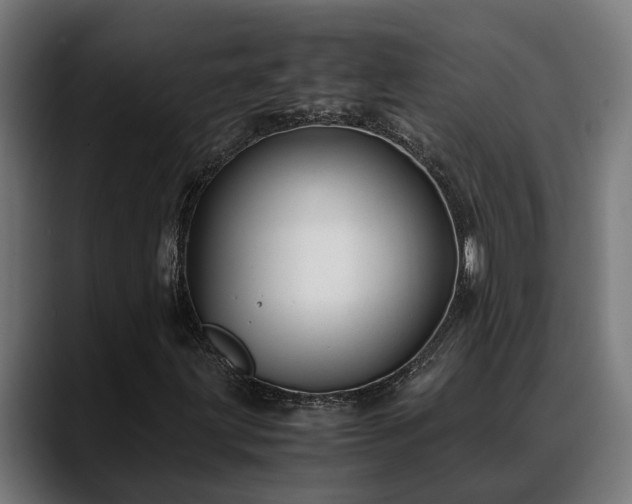 X0000088461203200705291524