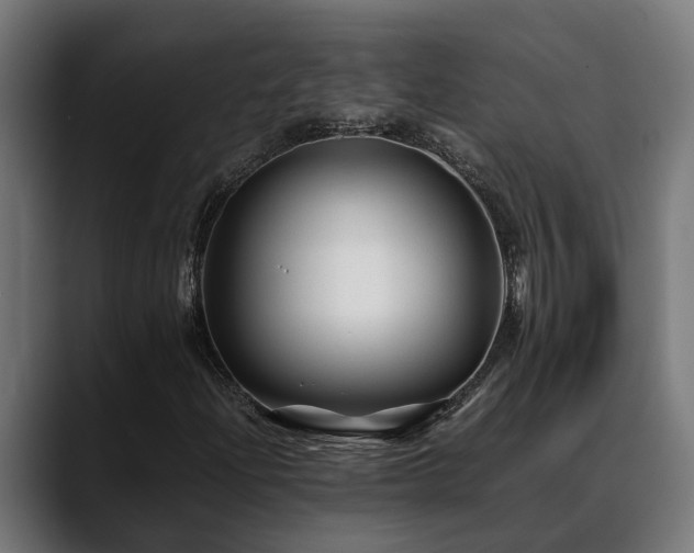 X0000088461204200705291524