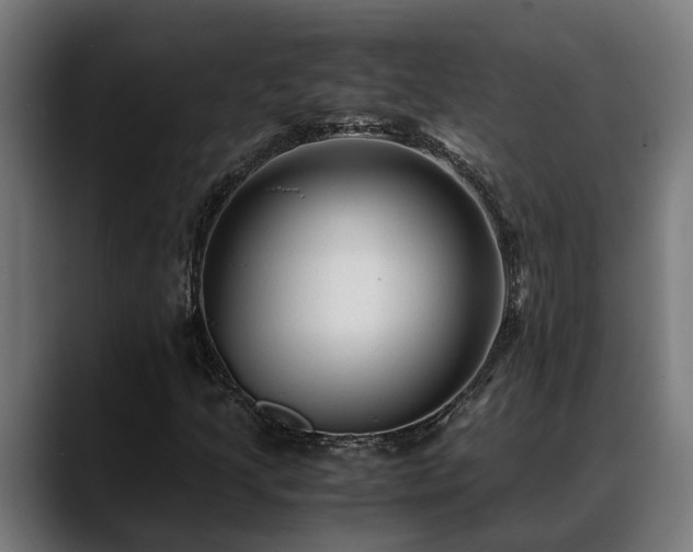 X0000088461205200705291524