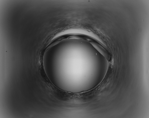 X0000088461206200705291524