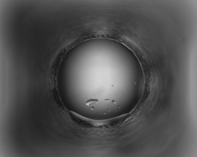 X0000088461207200705291524