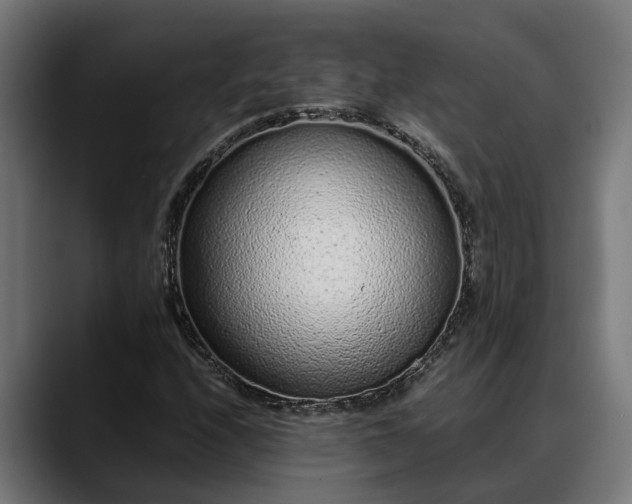 X0000088461208200705291524