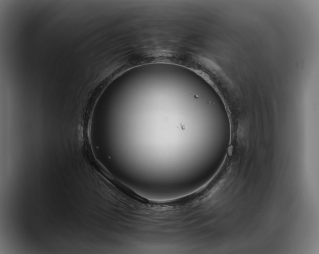 X0000088461209200705291524