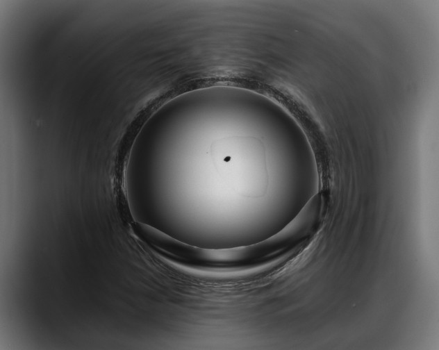 X0000088461210200705291524