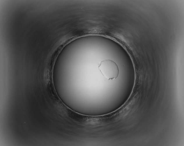 X0000088461211200705291524