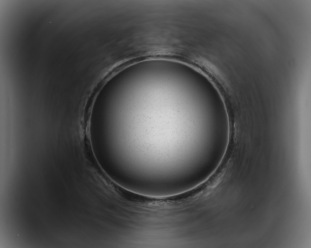 X0000088461212200705291524