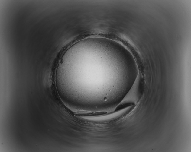 X0000088461213200705291524