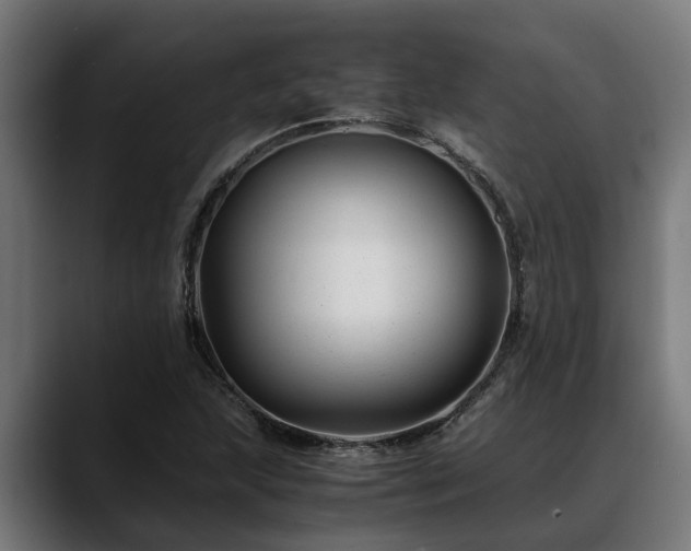 X0000088461215200705291524