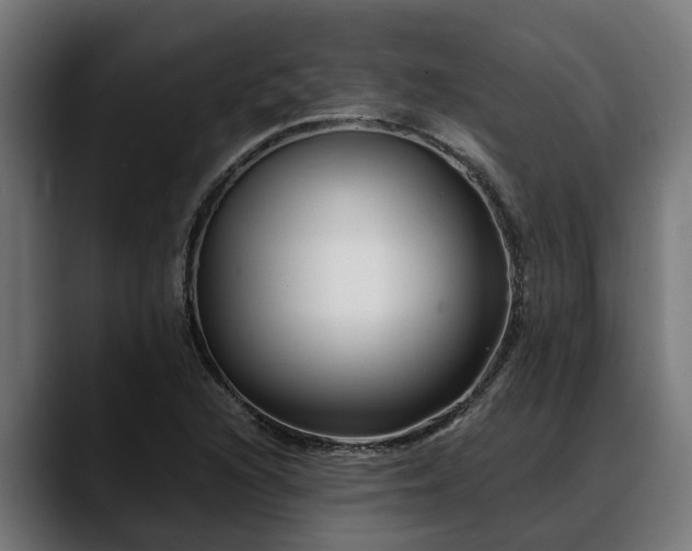 X0000088461216200705291524