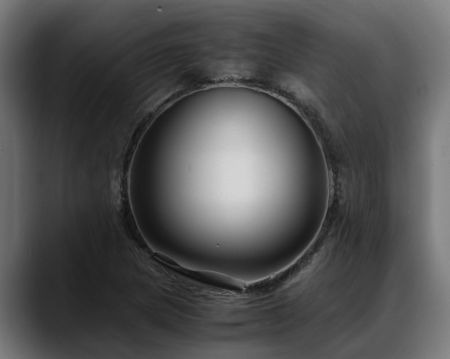 X0000088461217200705291524