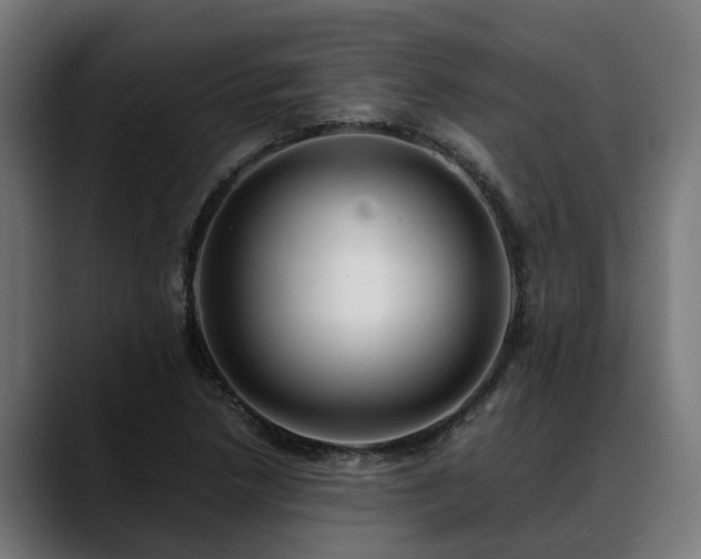 X0000088461218200705291524