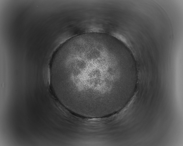 X0000088461219200705291524