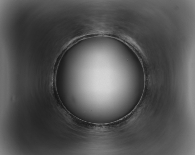 X0000088461220200705291524