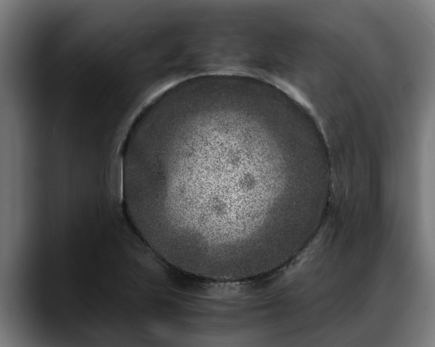 X0000088461223200705291524