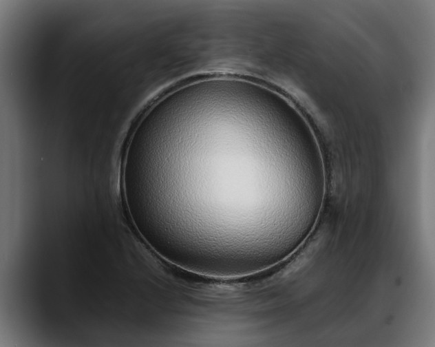 X0000088461224200705291524