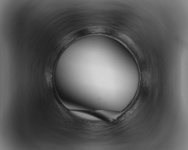 X0000088461225200705291524