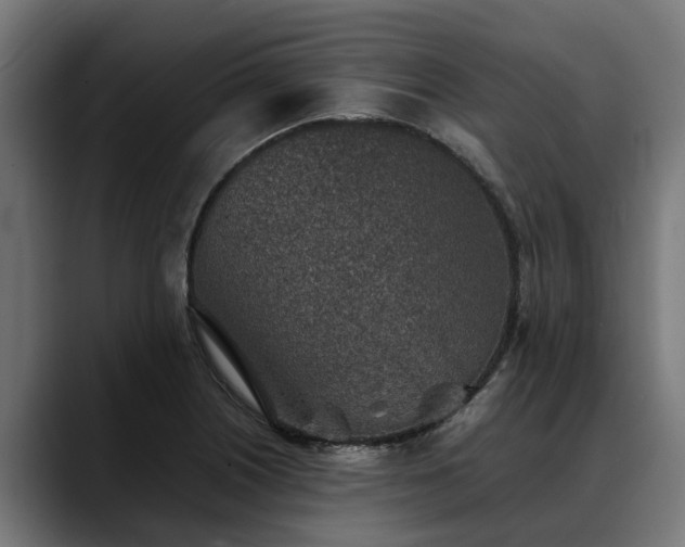 X0000088461226200705291524