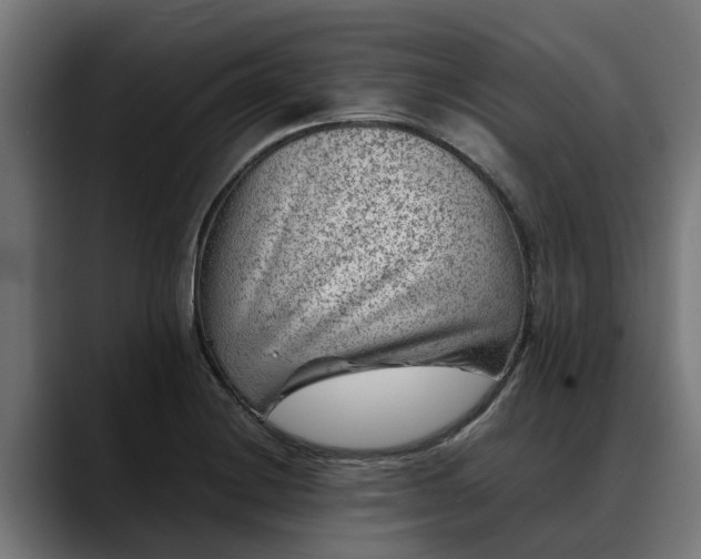 X0000088461228200705291524