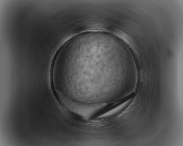 X0000088461229200705291524