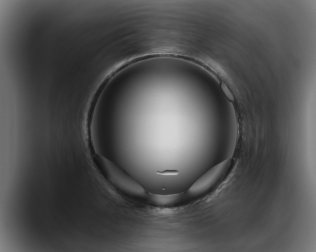 X0000088461230200705291524