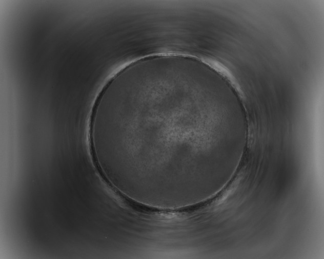 X0000088461231200705291524