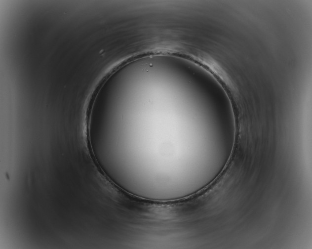 X0000088461232200705291525