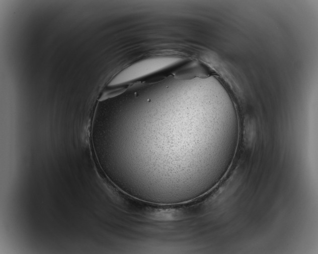 X0000088461233200705291525