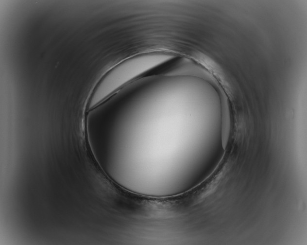 X0000088461234200705291525