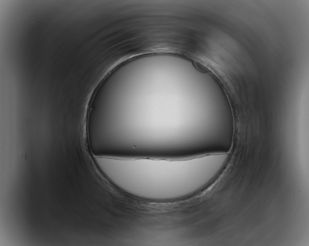 X0000088461236200705291525