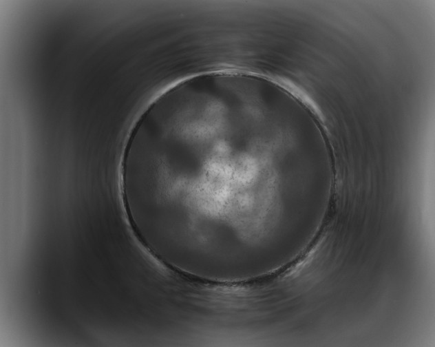 X0000088461239200705291525