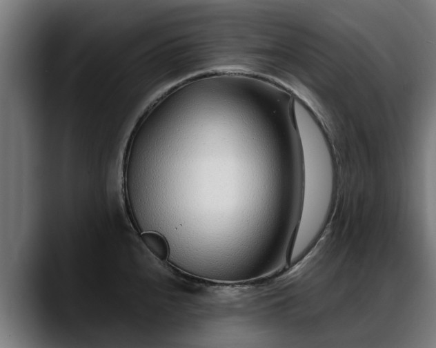 X0000088461240200705291525