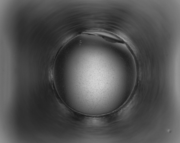 X0000088461241200705291525