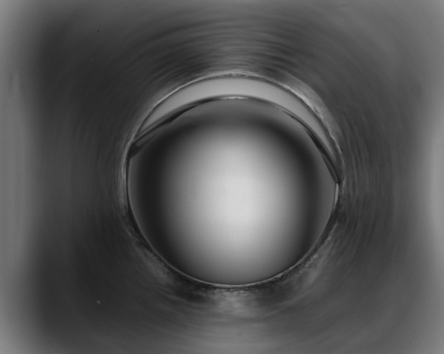 X0000088461242200705291525