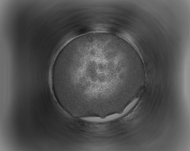 X0000088461243200705291525