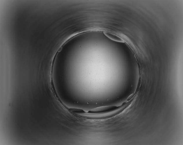 X0000088461244200705291525