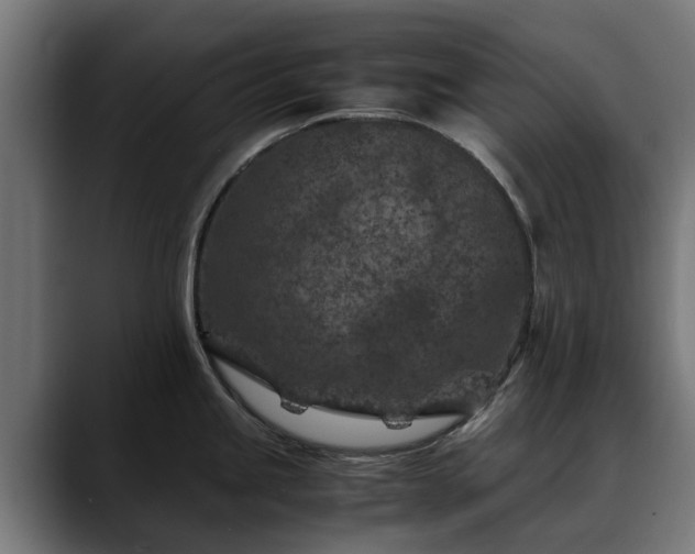 X0000088461245200705291525