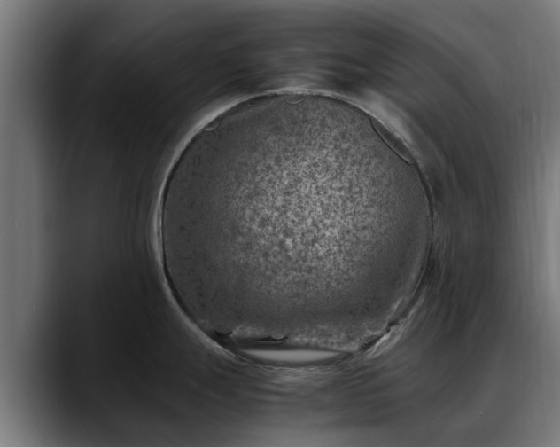 X0000088461247200705291525