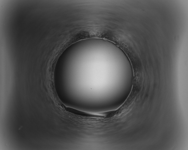 X0000088461249200705291524