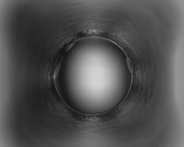 X0000088461250200705291524