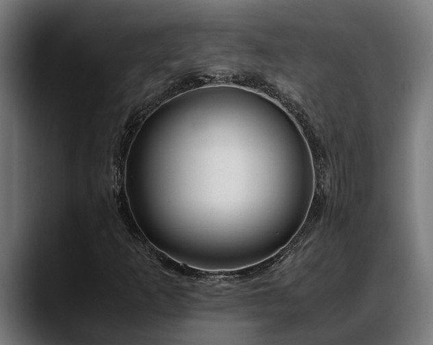 X0000088461253200705291524