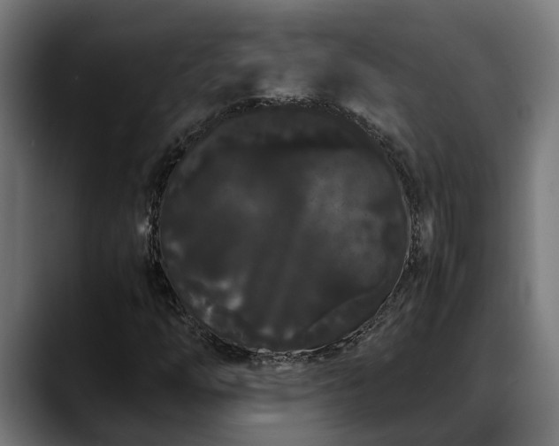 X0000088461254200705291524