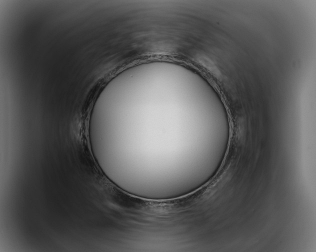 X0000088461258200705291524