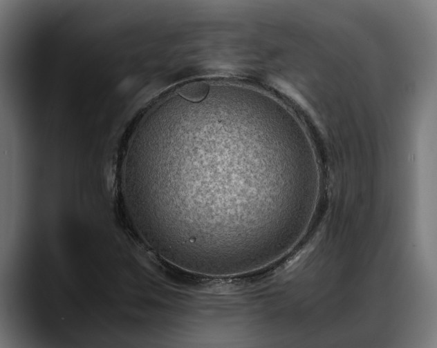 X0000088461259200705291524