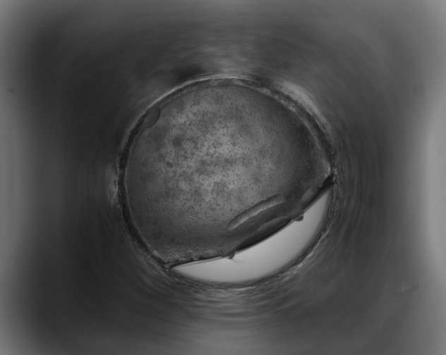 X0000088461260200705291524