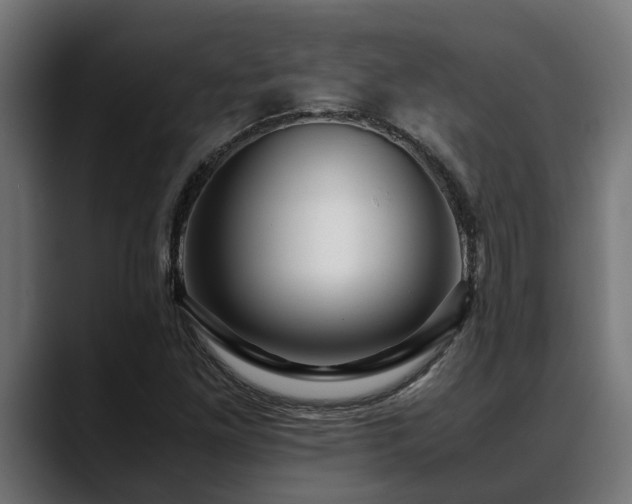 X0000088461261200705291524