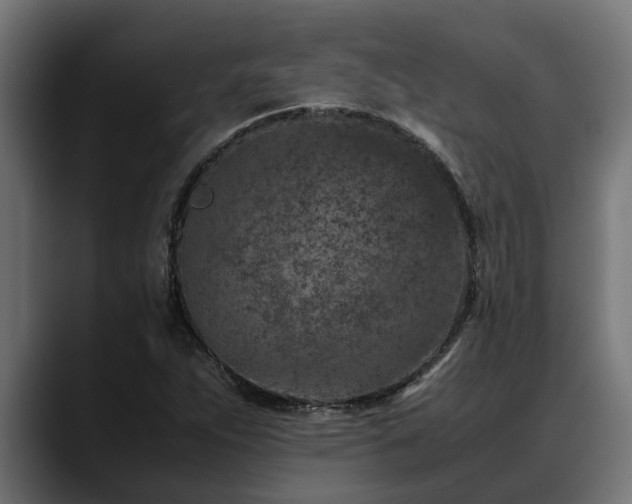 X0000088461263200705291524