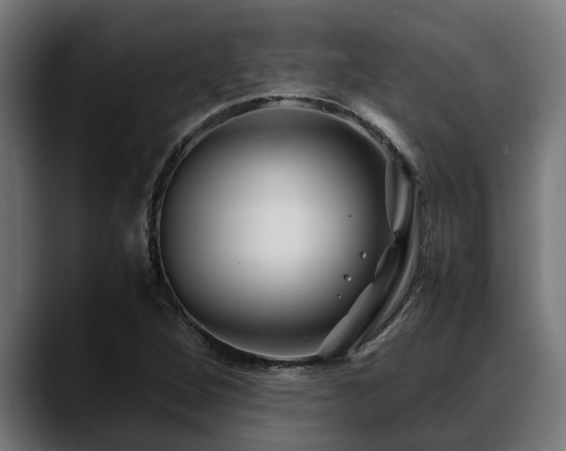 X0000088461264200705291524